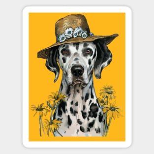 Dogs in Hats. Dalmatians Magnet